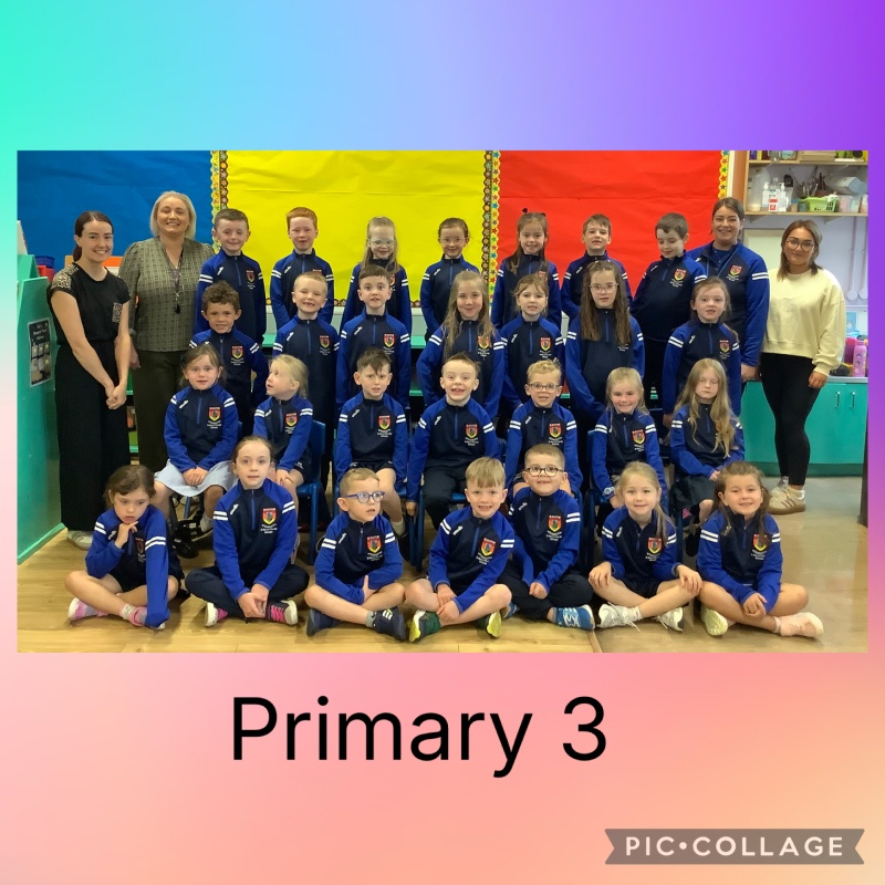 Primary 3
